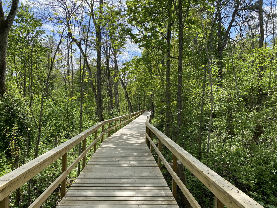 Spången genom Vårdsätra naturpark