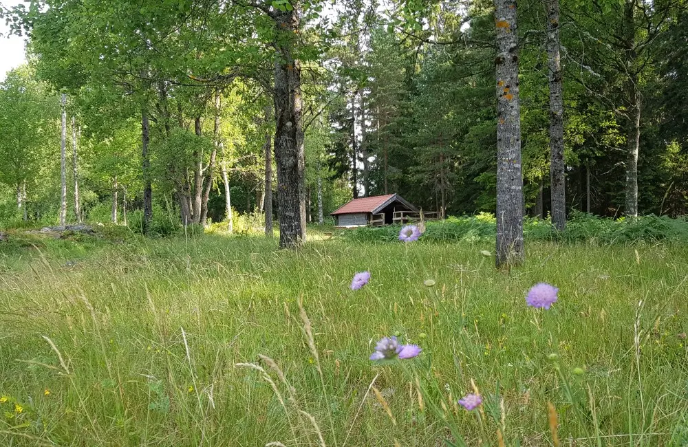 Lövhult Timmerstuga