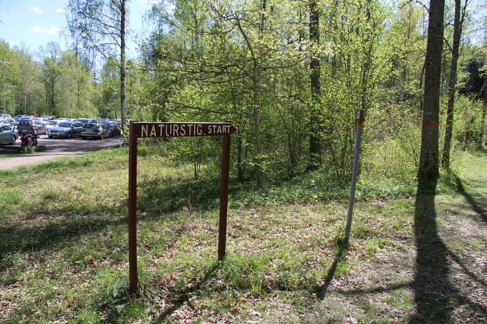 En träskylt som visar var naturstigen börjar. I bakgrunden en parkering med bilar.