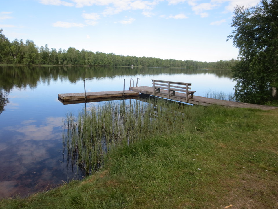 Brygga med kvällssol