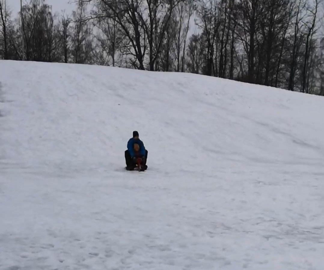 Pulkaåkning