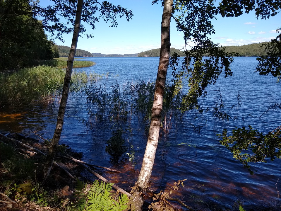 Vy från Tolkenleden över Tolken.