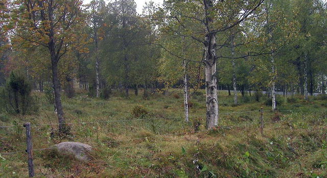 Lilla Korslången, Naturreservat