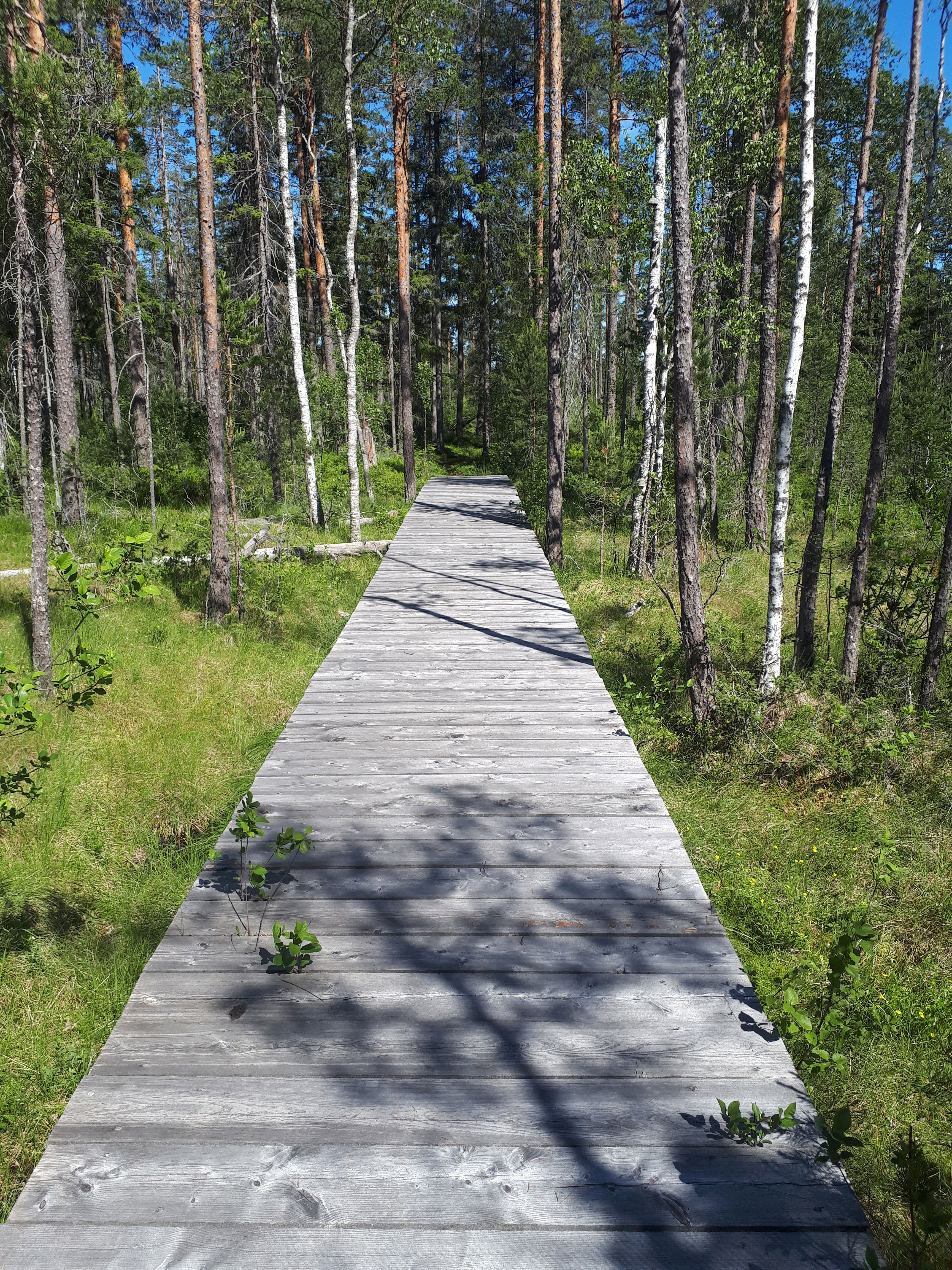 Trygga spänger över blöta partier