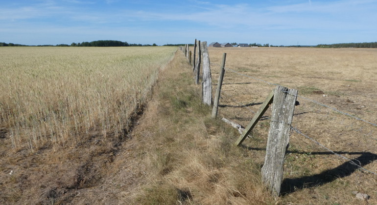 Naturreservatet till höger.