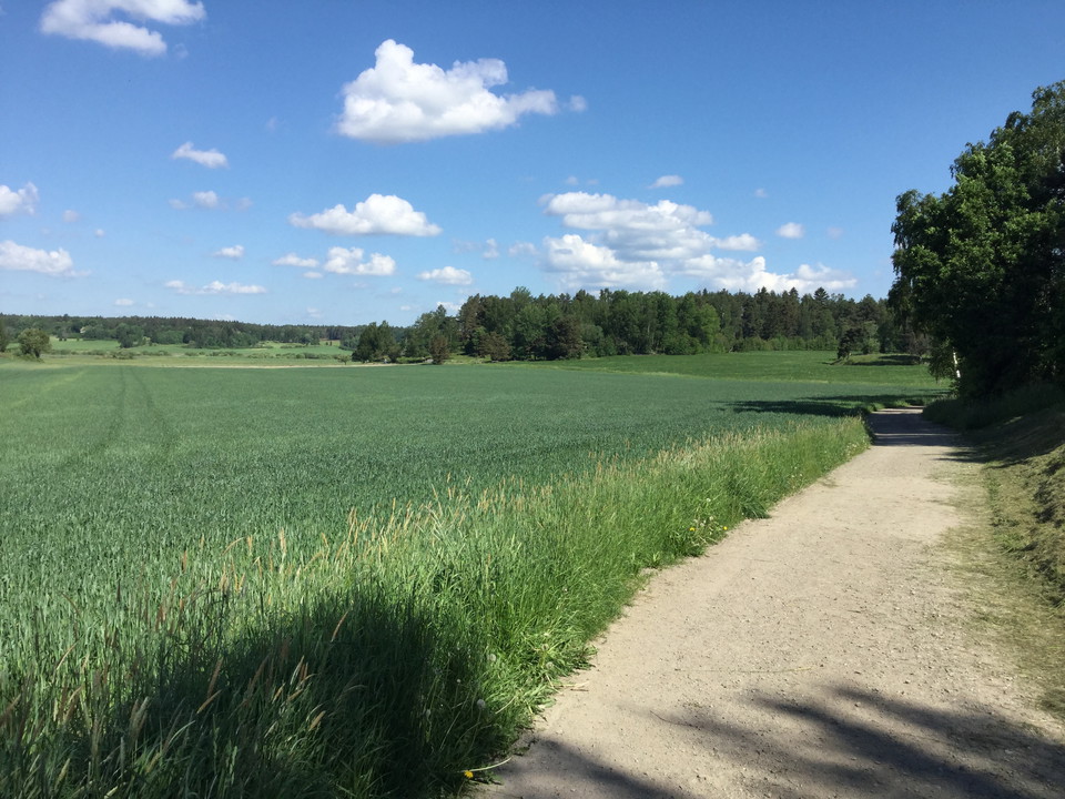 Tillgänglig väg ner mot Sjöängen