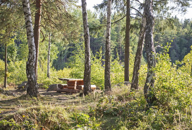 Grillplats vid Långsjön