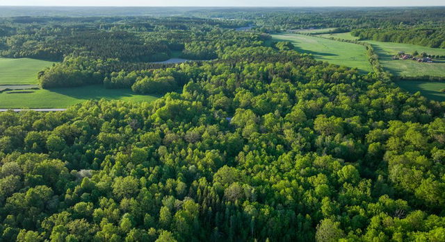 Jämsunda, Naturreservat