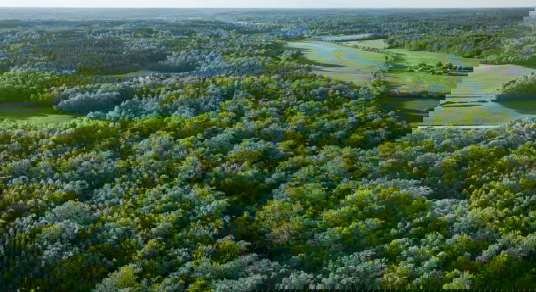 Jämsunda, drönarbild mot norr. Foto Robert Ekholm /Länsstyrelsen Blekinge