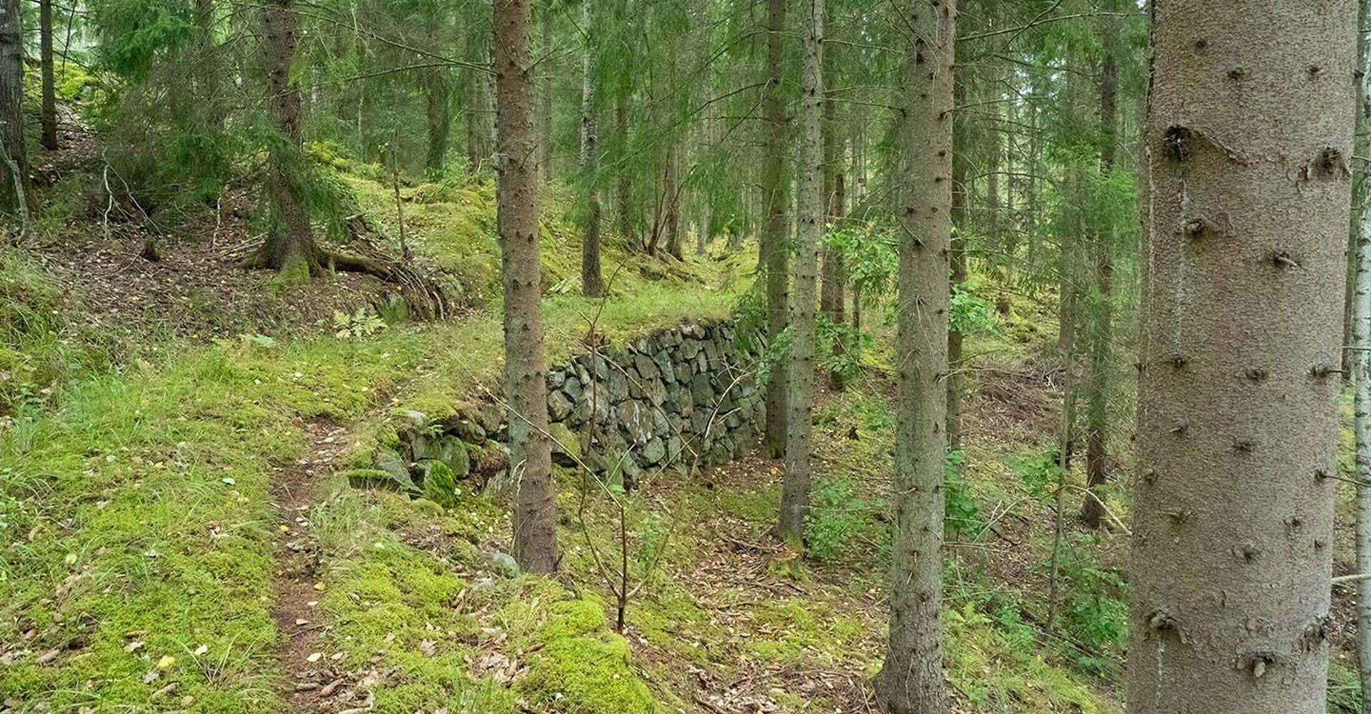 Fallingebergssjön rundslinga.
Valdemarsvik.