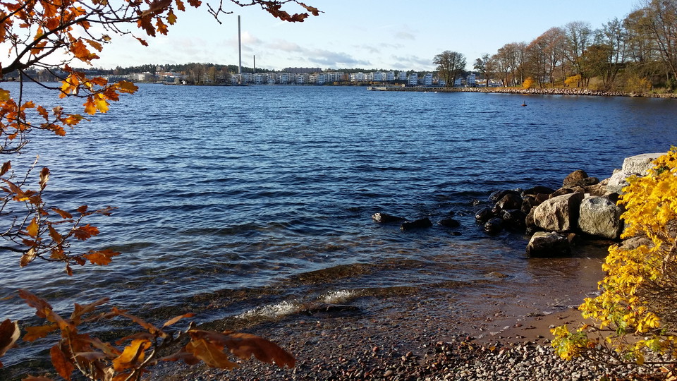 Strand söder om Elfviks gård.