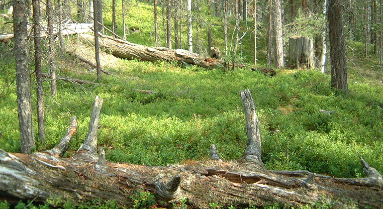 Vuotnaberget.
