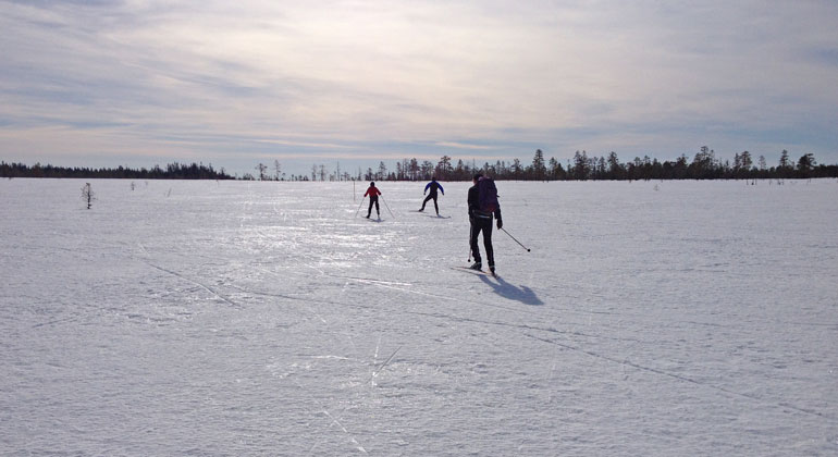 Till Koppången åker de flesta på vårvintern, för att åka skidor på skaren. Har det varit tö en dag som följs av en kall natt, är det perfekta förhållanden.