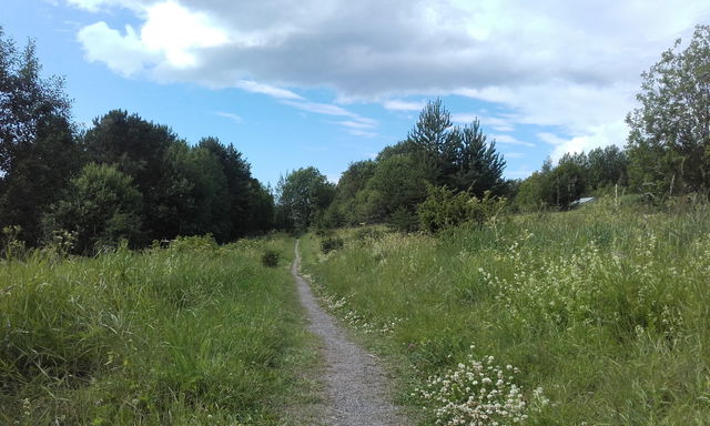 Stensgårdsstigen på Frösön