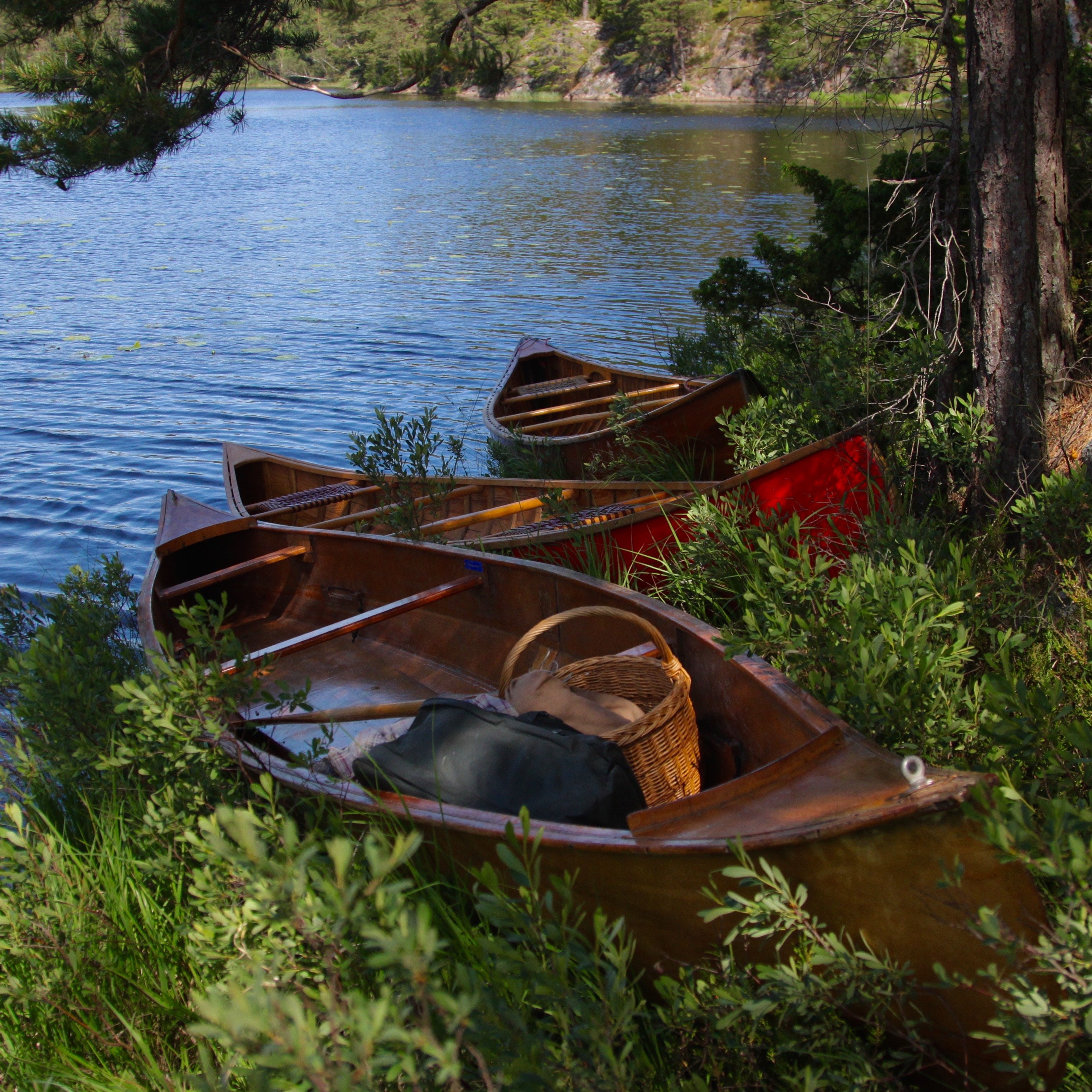 Wooden canoes Tiveden