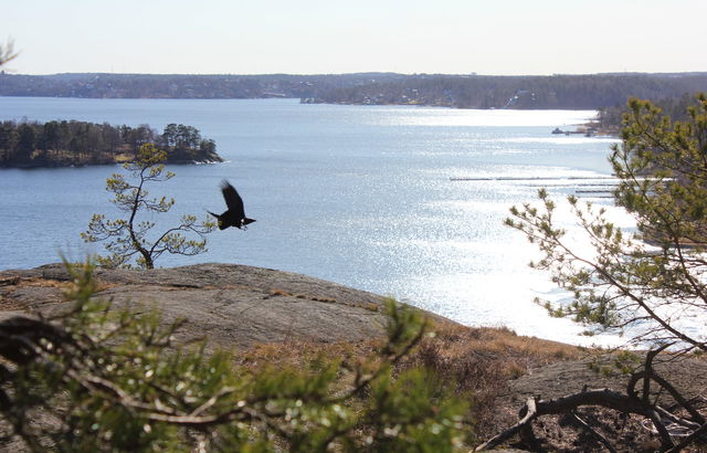 Utkiksplats Ekoberget naturreservat