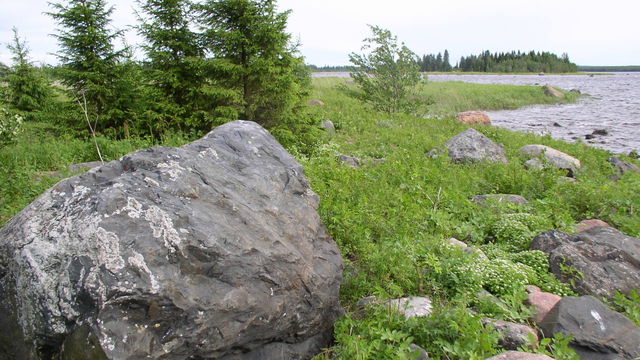 Orrskärsrevet