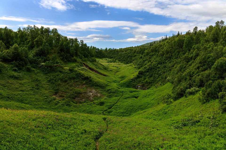 Blinda dalen i Bjurälvens naturreservat.