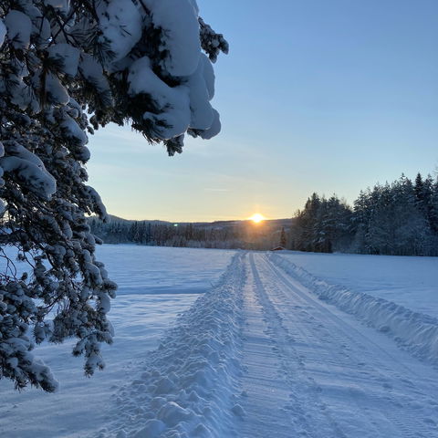 Hälsostig Parteboda 1,8 km