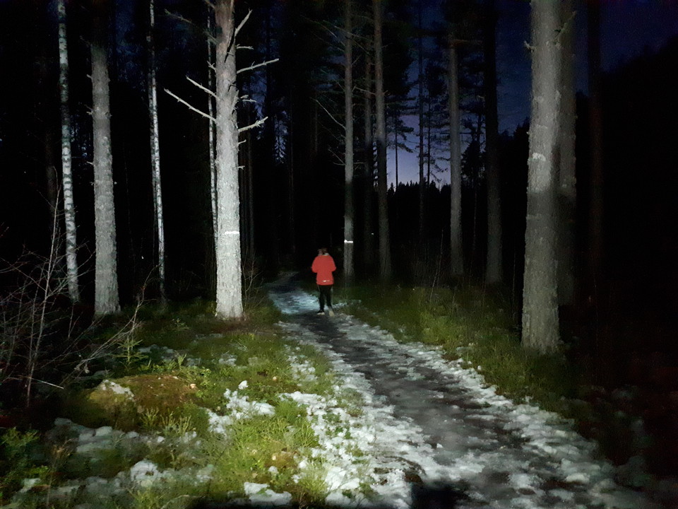 När mörkret lägger sig kan du testa reflexbanan som finns vid Vikskogen.