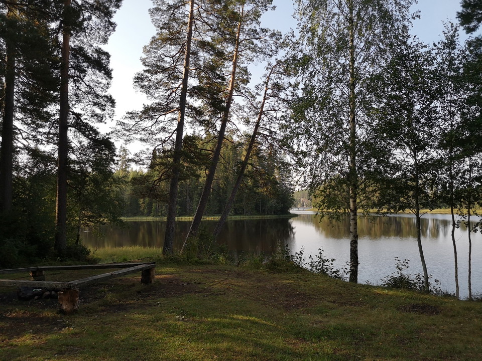 Vy över Dammsjön