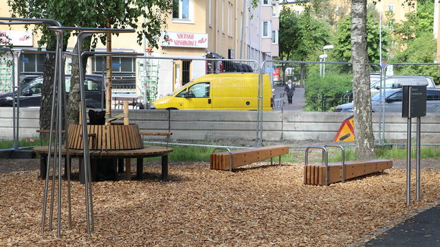 Svandammsparkens utegym