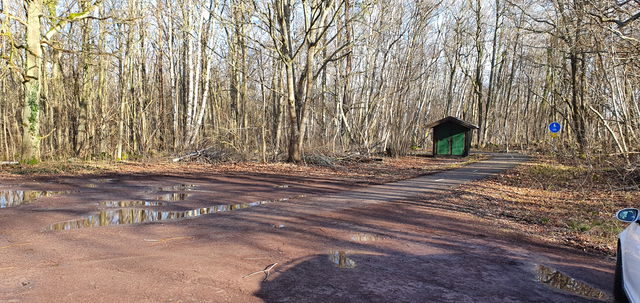 Parkering Vickleby ädelövskog