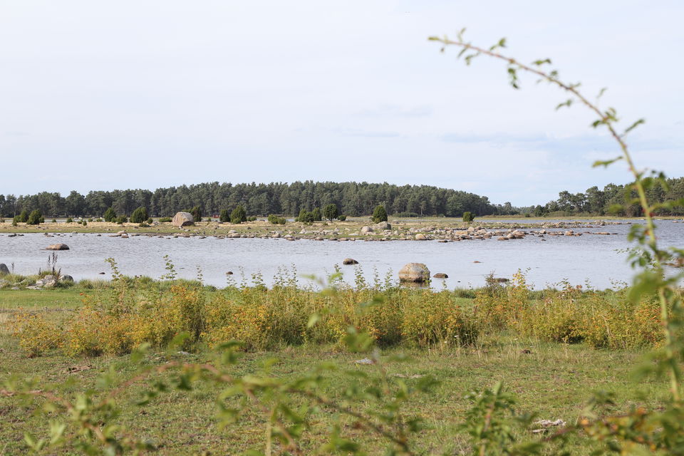 Strandäng Bottorp