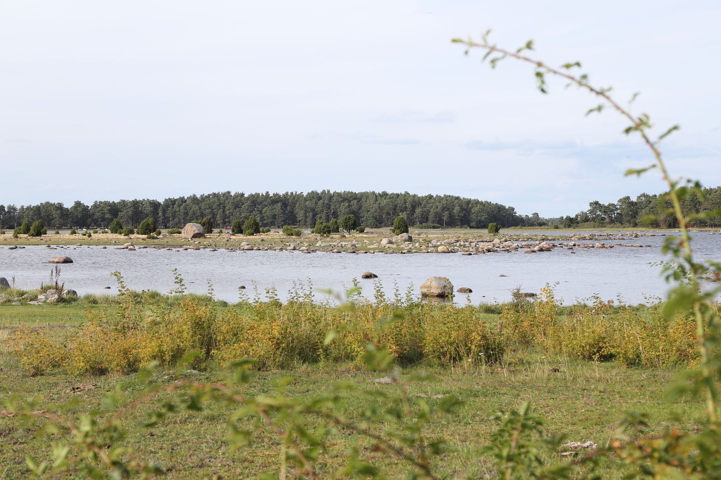 Strandäng Bottorp