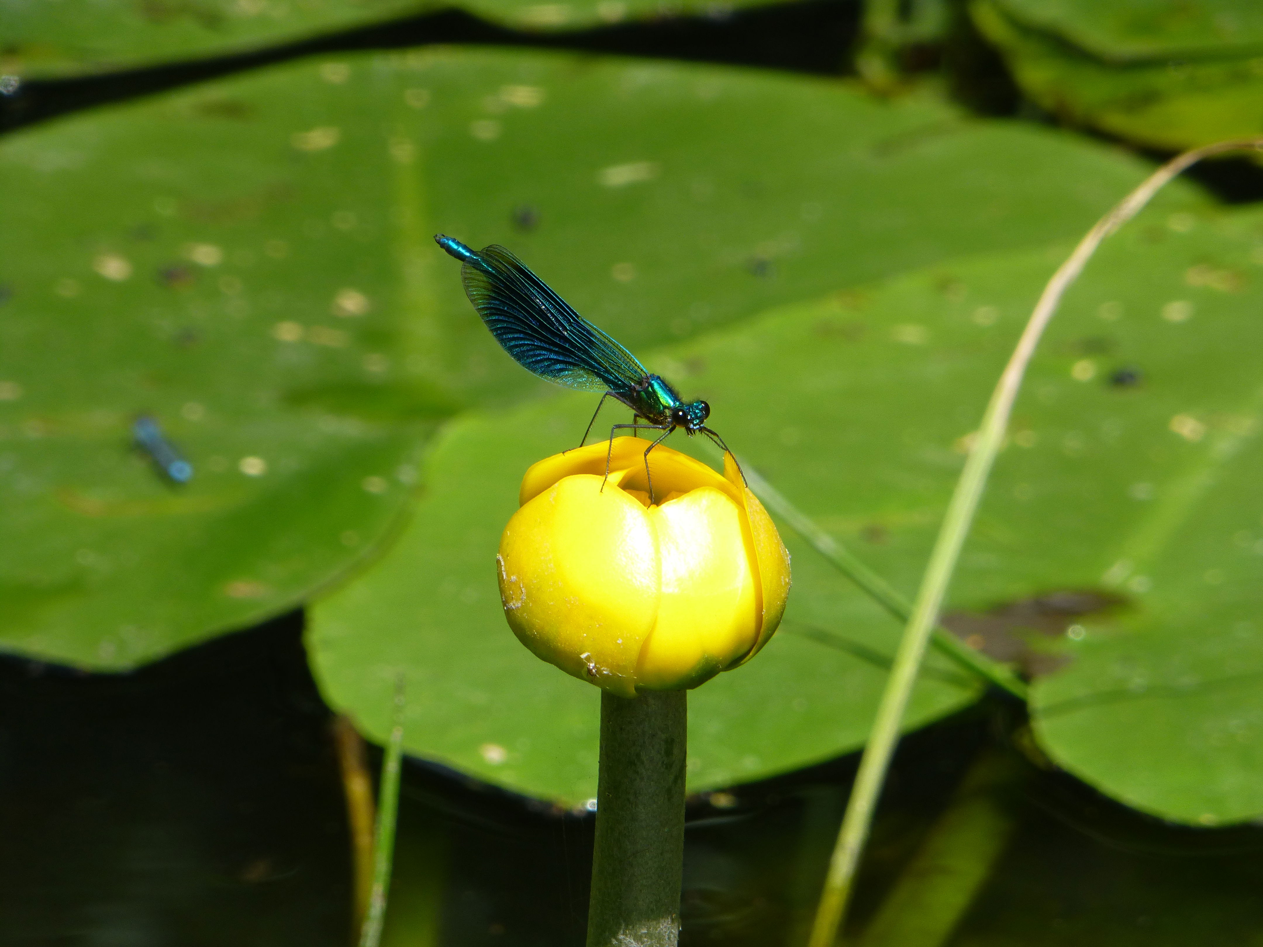 Fotoutställning Med kärlek till vatten - se alla utvalda bidrag