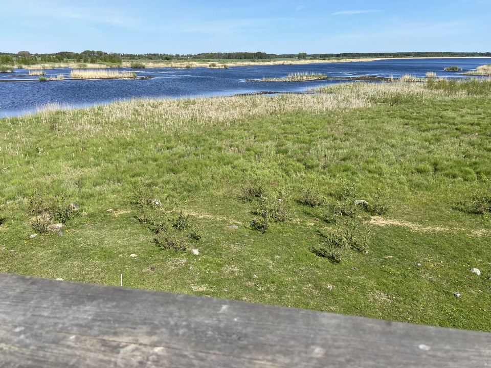 Bilden är tagen från översta våningen i fågeltornet. Framför tornet ligger en strandäng och bortanför den syns sjön. 