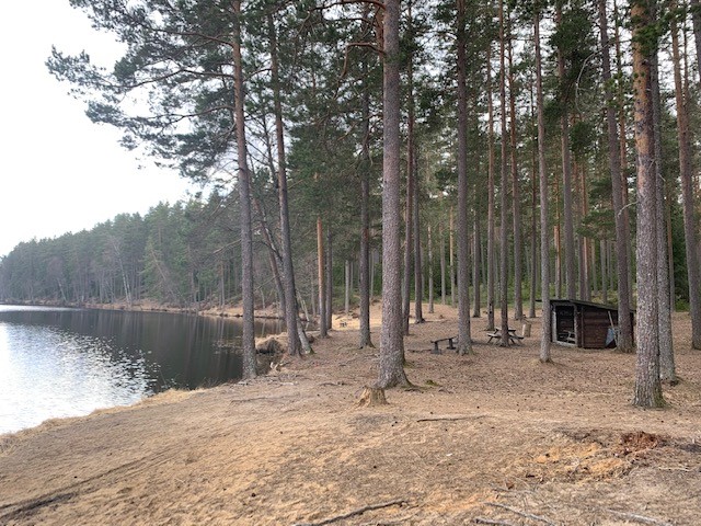 Vindskydd Mellantjärn