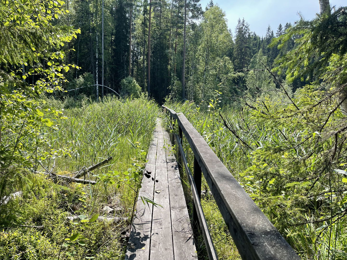 Längs med leden