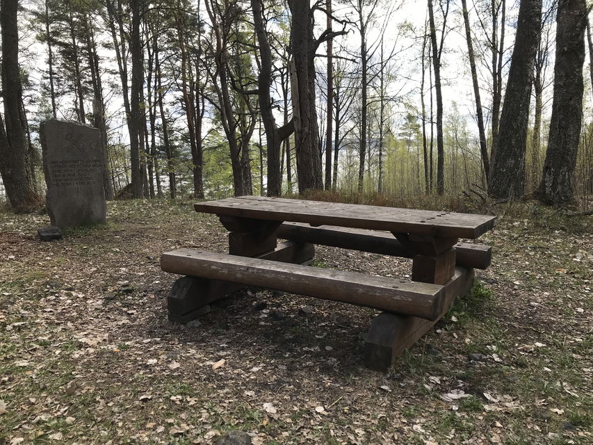 Rastbord i skoglig miljö.