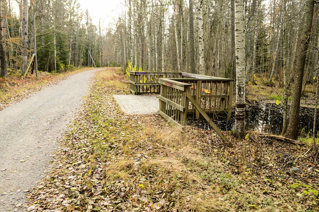 Groddamm vid Flatens skogsväg