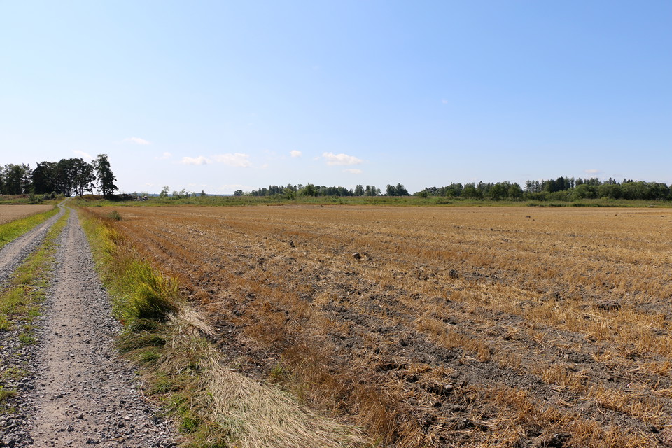 Lindöberget på avstånd, den del som ligger mot Mälaren.
