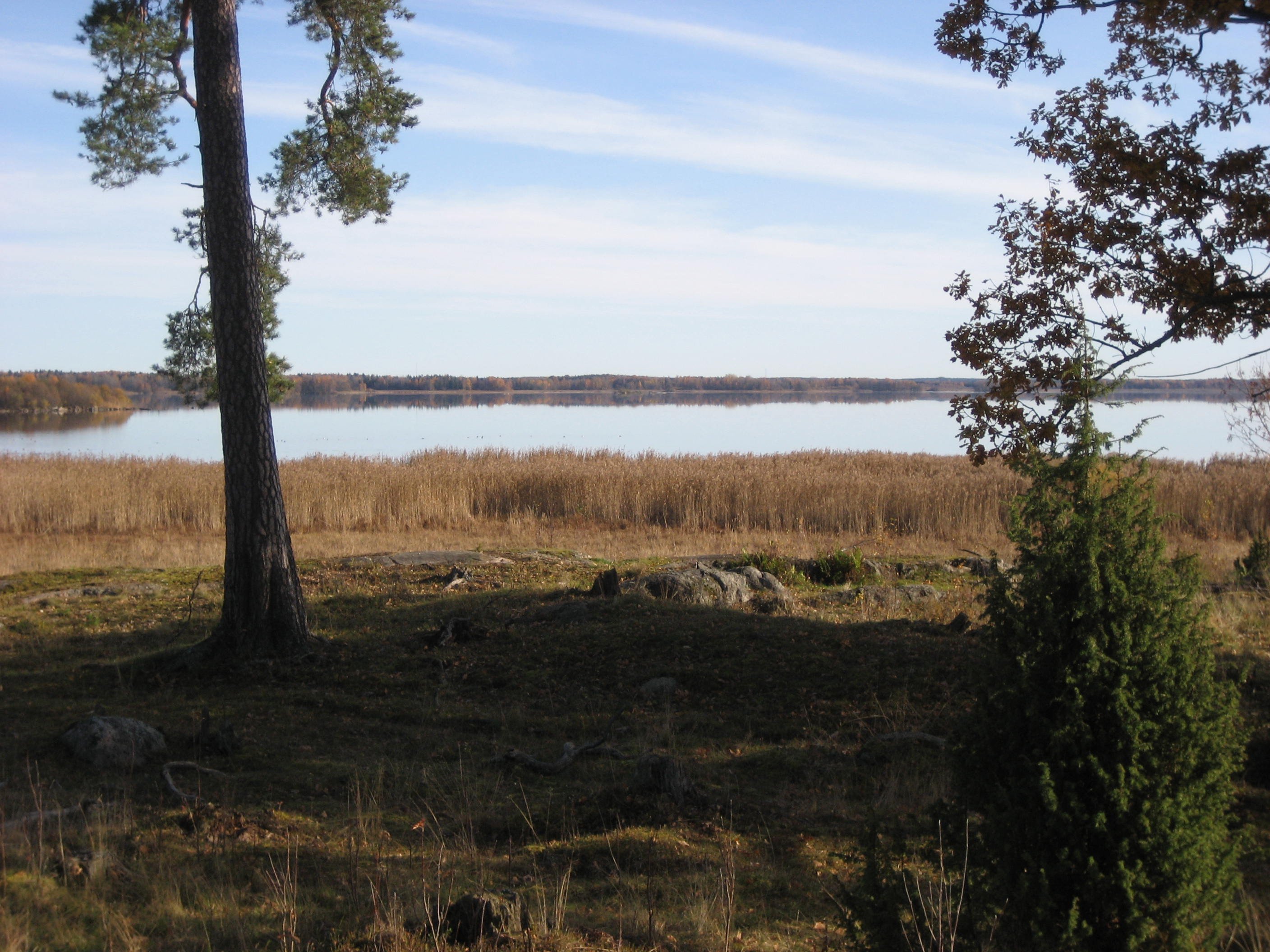 En ojämn och stenig betesmark leder fram till en sjö med vass runt kanterna. På betesmarken står en hög tall.