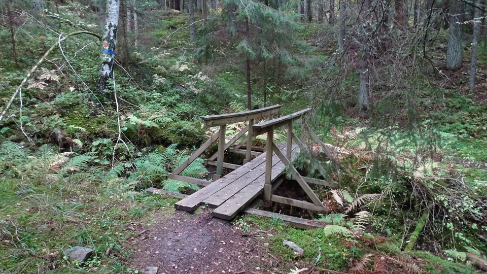 Höstbild. Broövergång. Svartbergets Naturreservat.
