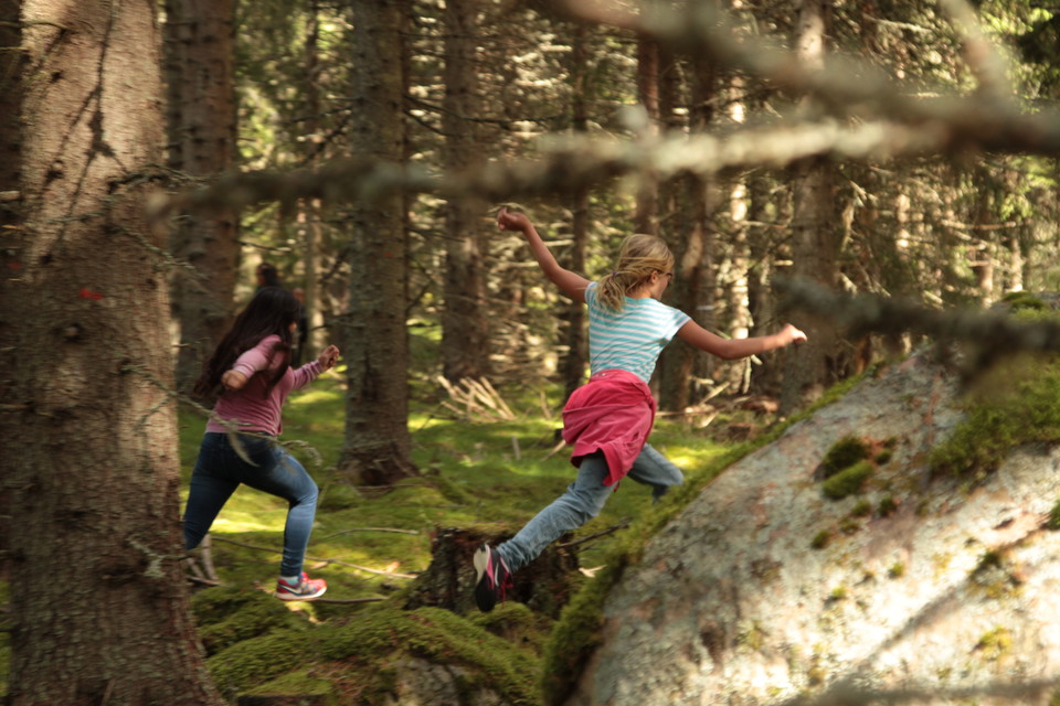 Lek fritt i Ängsös skogar