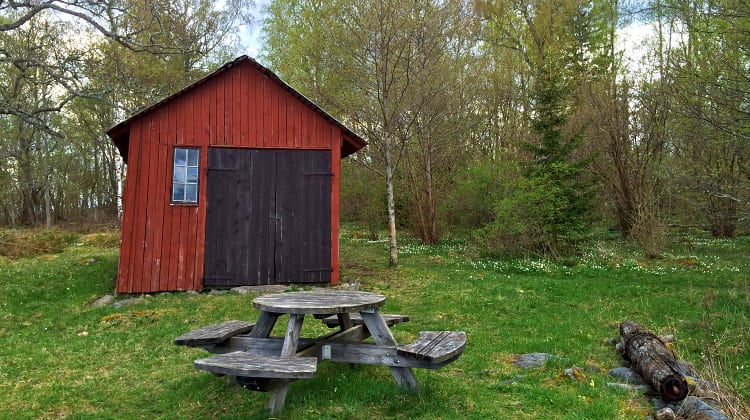 Ett bänkbord står på en ojämn gräsyta omringad av träd. Bakom bänkbordet står en bod.