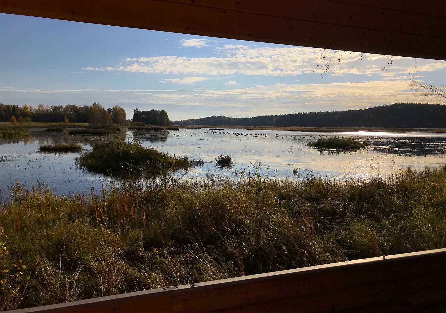 Vindskydd, Älsjön naturreservat