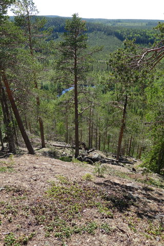 Holmmyrberget