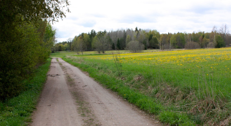 Vägvandring vid Fridhem.
