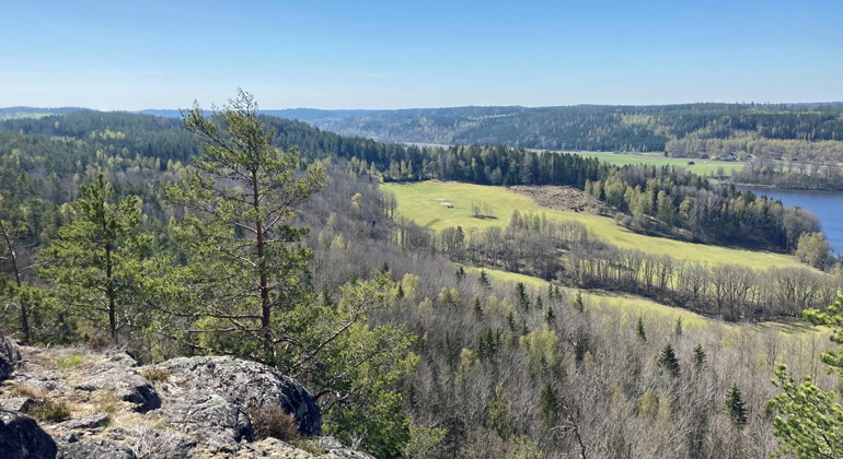En vacker utsikt möter den som vandrar på leden längst ner i södra delen av reservatet. 