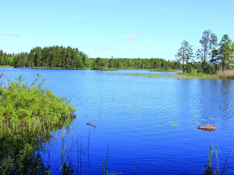 Sjö med skog runt