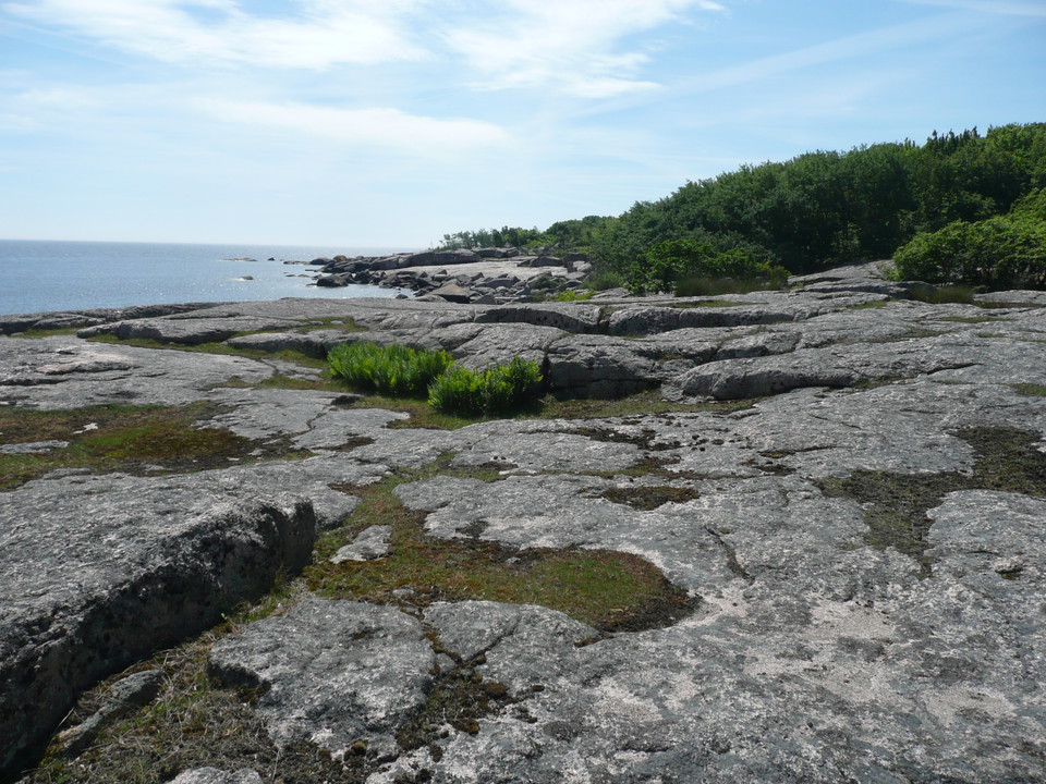 Vindhalla, klippor på Hanö. 2017-06-15. Foto Länsstyrelsen