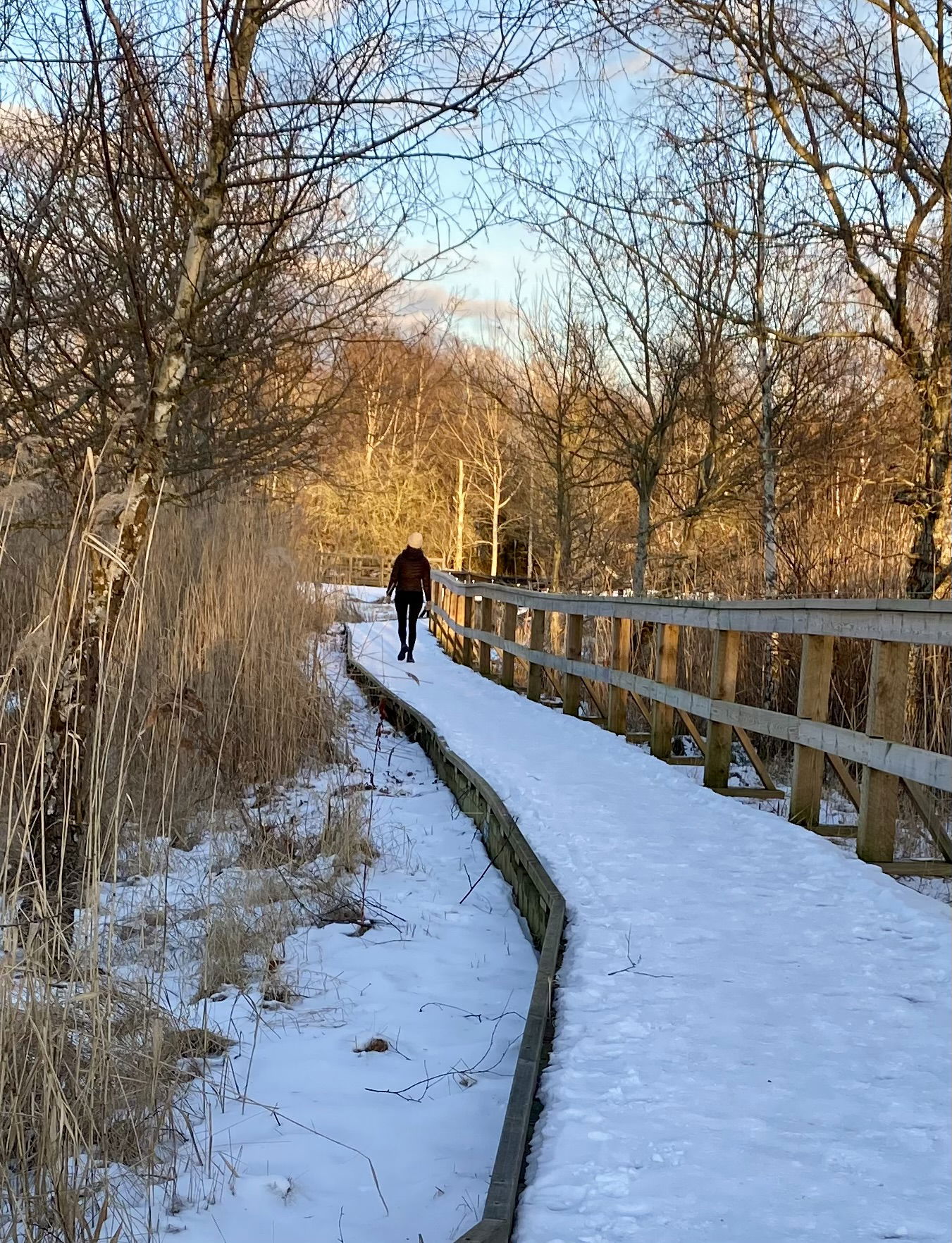Person gående på spång, vinter
