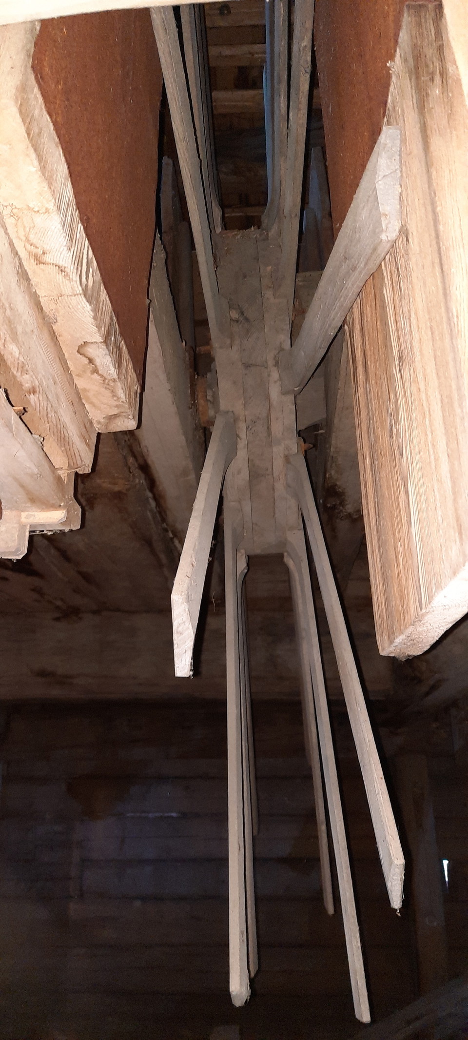 Svärmen ”propellern” som slog bort skalet av linet. 