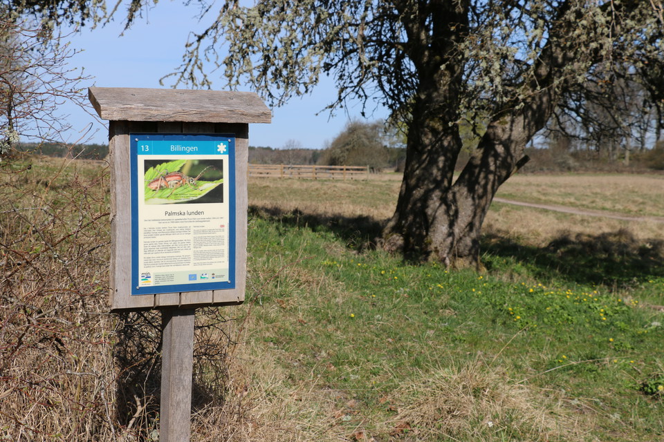 Informationsskylt över Billingen.