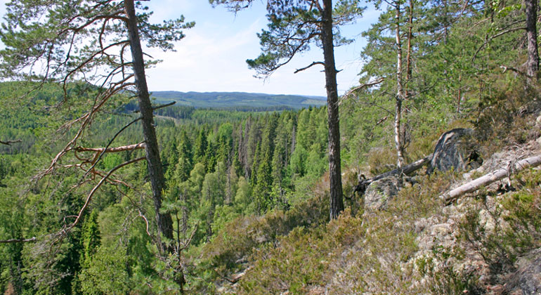 Orkar man sig upp längs den branta leden på berget, får man en fin belöning i den fantastiska utsikten.